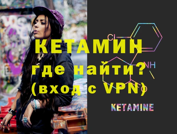 амф Дмитриев