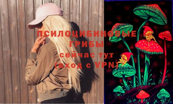 не бодяженный Дмитров