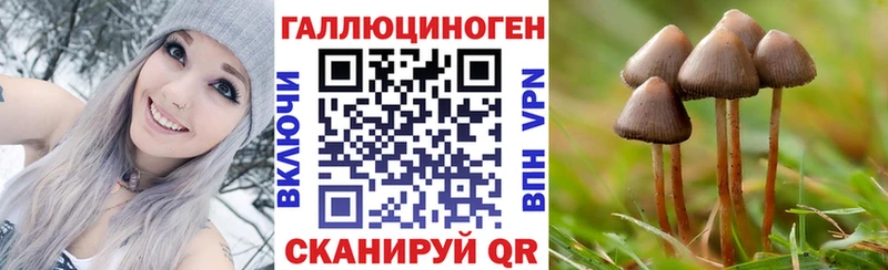 Галлюциногенные грибы GOLDEN TEACHER  Волхов 