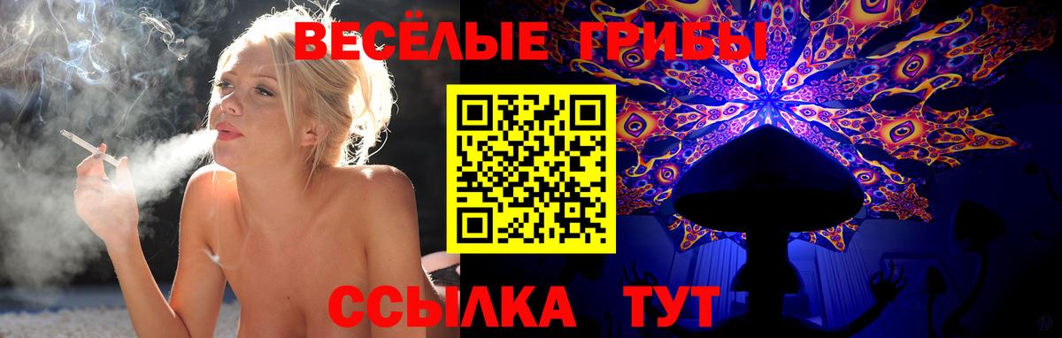 Псилоцибиновые грибы Magic Shrooms Волхов
